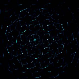 Black neon desktop wallpaper