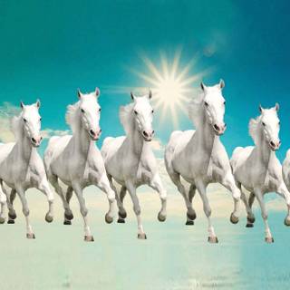 Horses desktop wallpaper