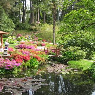 Desktop garden wallpaper