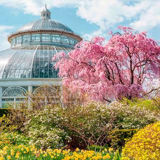 Desktop garden wallpaper