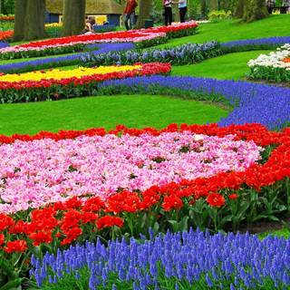 Desktop garden wallpaper