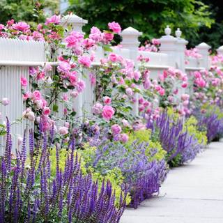 Desktop garden wallpaper