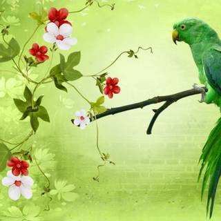 Parrot desktop wallpaper