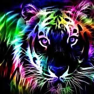 Black neon desktop wallpaper