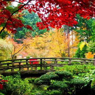 Desktop garden wallpaper