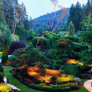 Desktop garden wallpaper