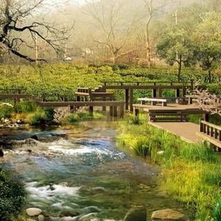 Desktop garden wallpaper