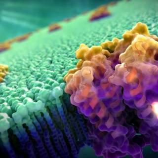 Biology desktop wallpaper