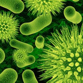 Biology desktop wallpaper