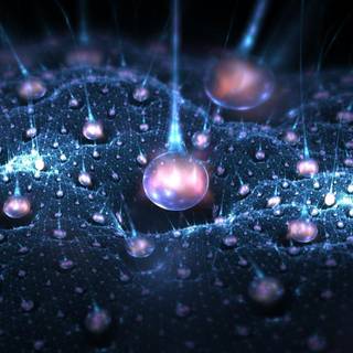 Biology desktop wallpaper