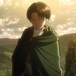 Captain Levi desktop wallpaper