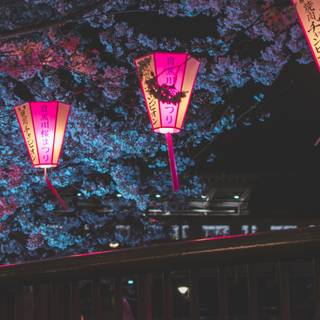 Japan night desktop wallpaper