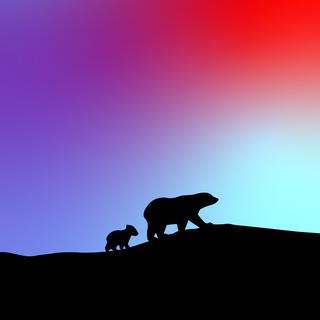 Bear mobile wallpaper