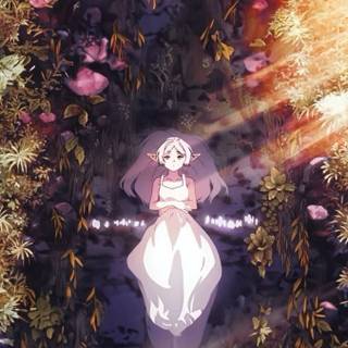 Frieren mobile wallpaper