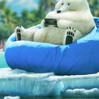 Bear mobile wallpaper