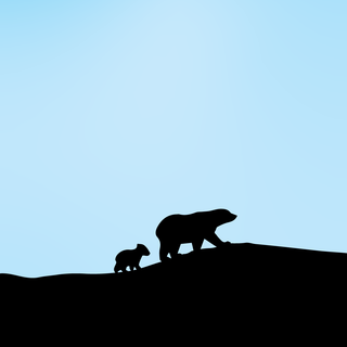 Bear mobile wallpaper