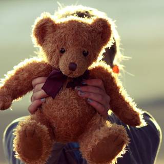 Bear mobile wallpaper