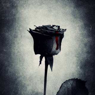 Goth mobile wallpaper