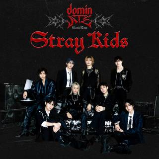 Stray Kids 2026 wallpaper