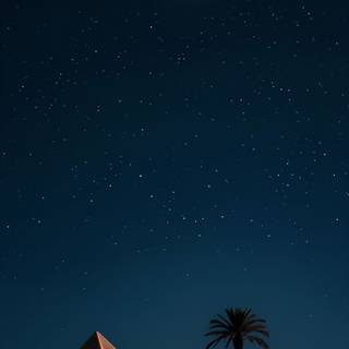 History mobile wallpaper