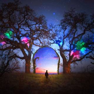 Light fantasy 4k wallpaper