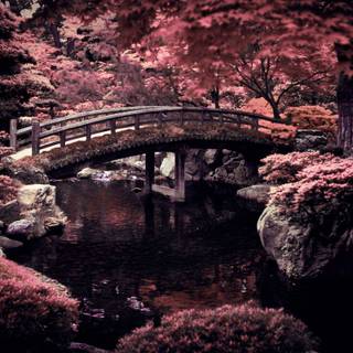 4k dark Japan wallpaper