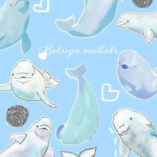 Beluga phone wallpaper