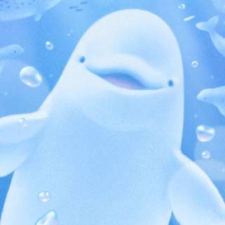 Beluga phone wallpaper