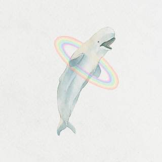 Beluga phone wallpaper