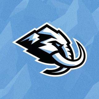 Utah phone wallpaper