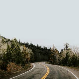 Utah phone wallpaper