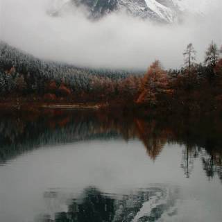 Utah phone wallpaper