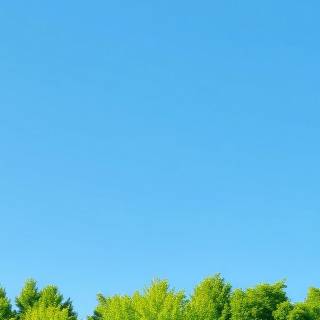 Minimalist green phone wallpaper