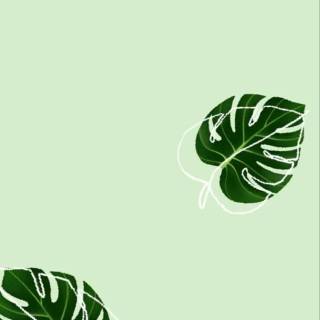 Minimalist green phone wallpaper