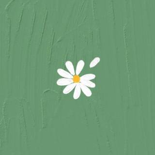 Minimalist green phone wallpaper