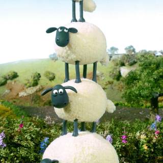 Sheep phone wallpaper