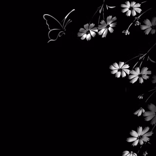 Black flower phone wallpaper