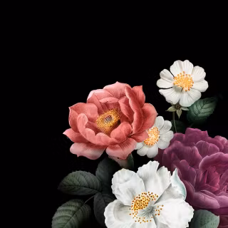 Black flower phone wallpaper