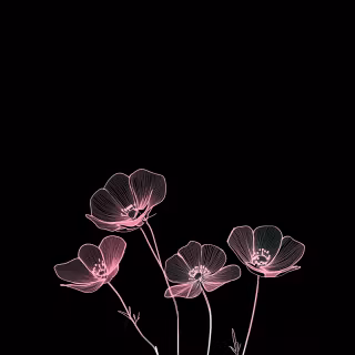 Black flower phone wallpaper