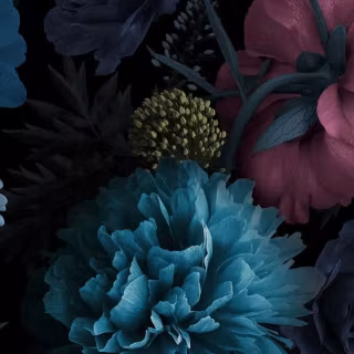 Black flower phone wallpaper