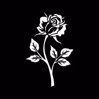 Black flower phone wallpaper