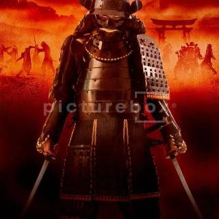 Samurai on knees wallpaper