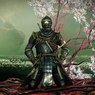 Samurai on knees wallpaper