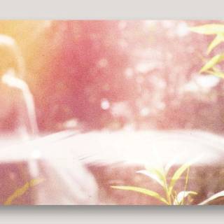 Passion Pit wallpaper