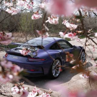 Porsche 911 pink wallpaper