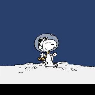 Snoopy PFP wallpaper
