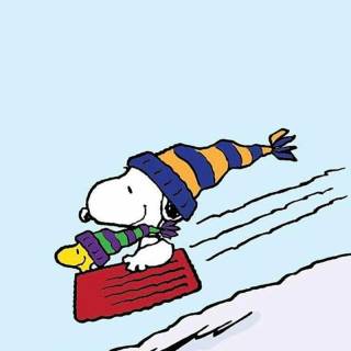 Snoopy PFP wallpaper
