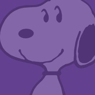 Snoopy PFP wallpaper