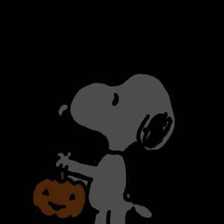 Snoopy PFP wallpaper