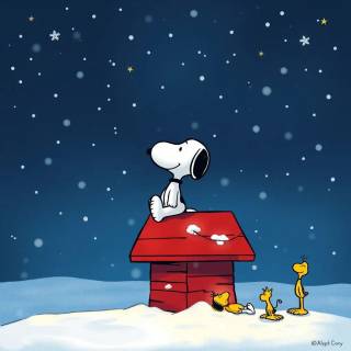 Snoopy PFP wallpaper